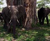 by katedunlevy, Views[235]