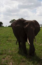 by katedunlevy, Views[96]