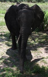 by katedunlevy, Views[112]