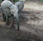 by katedunlevy, Views[107]