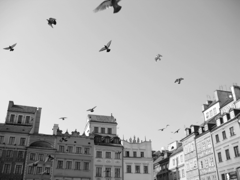 Rooftops of the main square in Old Town. If you raise your gaze from the cobblestones, you might just find yourself feeling more high-spirited. 