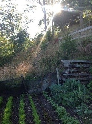 Feed Me! Home is where the heart is and this is the heart of my home