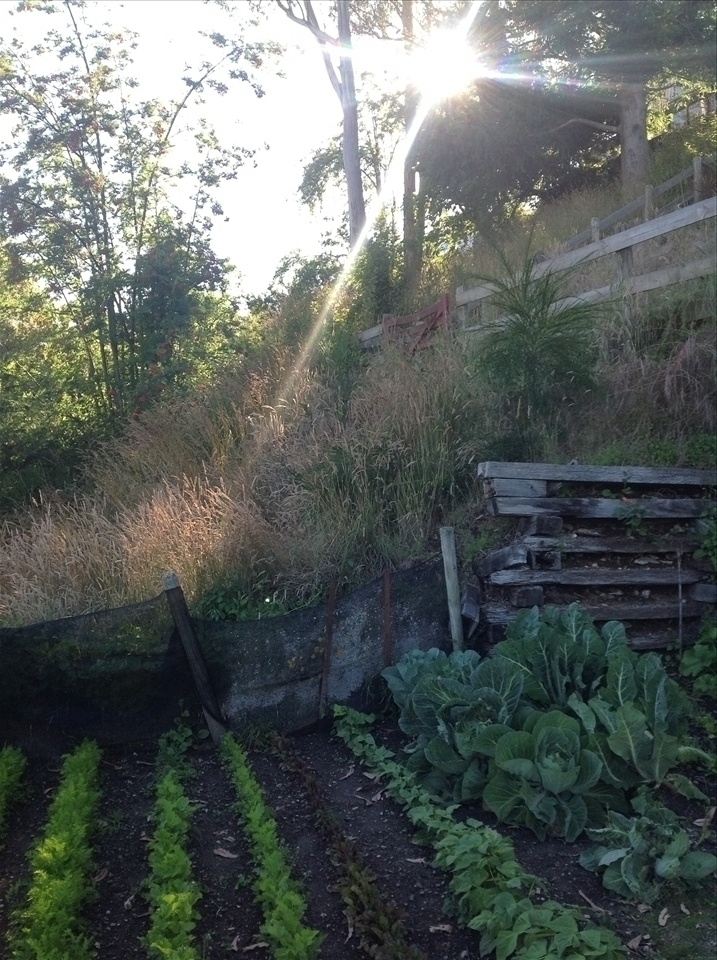 Feed Me! Home is where the heart is and this is the heart of my home