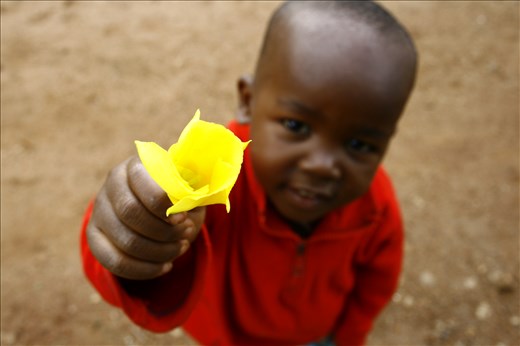 The giving of a flower was a great expression of love and community.