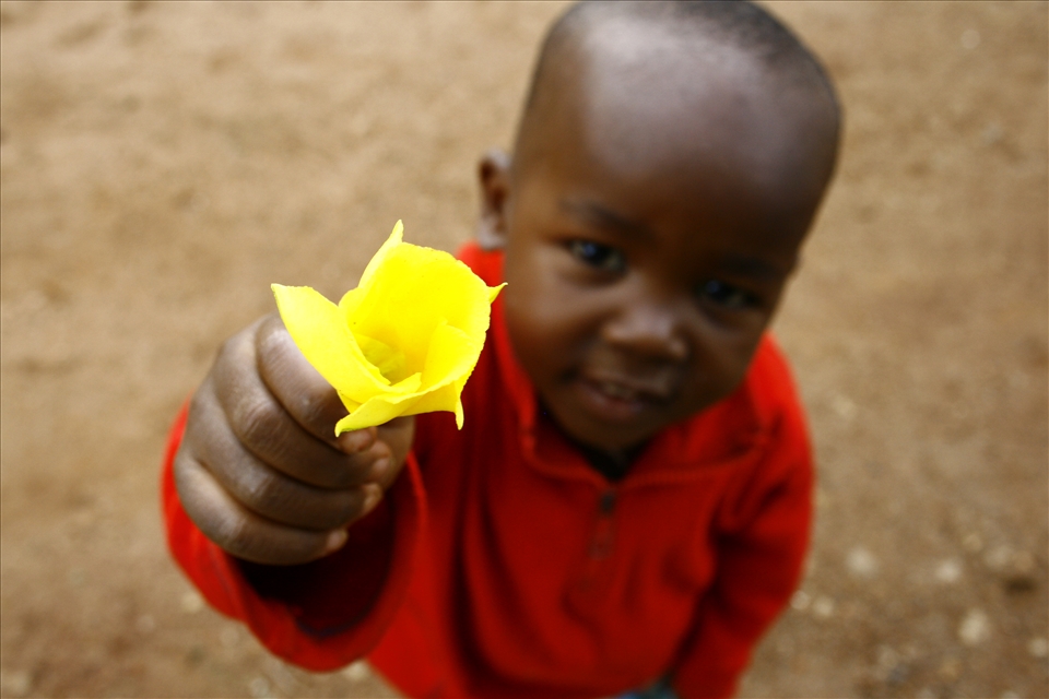 The giving of a flower was a great expression of love and community.