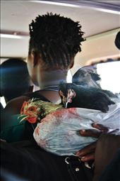 Matola journey from Mulanje to Blantyre.: by katerog, Views[211]