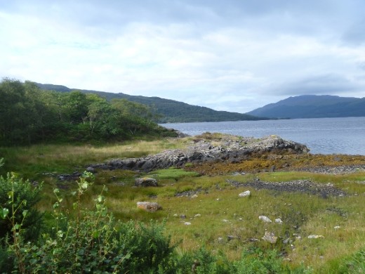 The midgiest campsite in the world