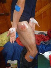 Eeeek! Crash! Eigg.: by katescarlett, Views[209]