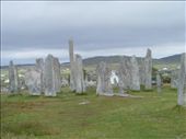 Standing Stones of Callanish - Experts still aren't really sure what they were for, but a great deal of resrources went into constructing the site over hundreds of years. They were probably religious.: by katescarlett, Views[310]