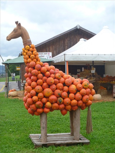 Orange giraffe
