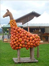 Orange giraffe: by katescarlett, Views[380]