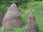 Haystacks, Bosnian style: by katescarlett, Views[326]