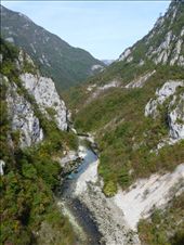 by katescarlett, Views[232]