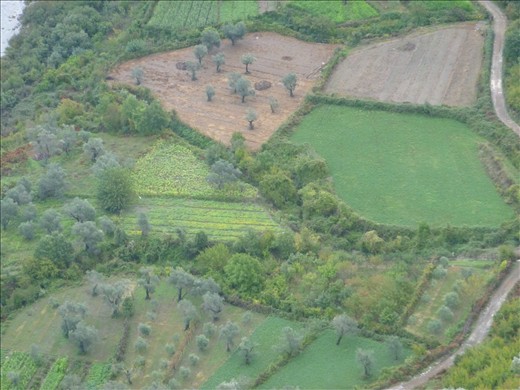 Albania patchwork fields
