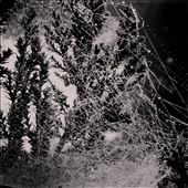 Raindrops adorning the spider web on a winter morning: by kathakrishna, Views[341]