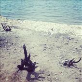 Traces of life on the shore!: by kathakrishna, Views[294]