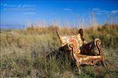 Just a chair in the middle of nowhere.: by kathrinsapiha, Views[566]