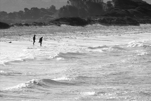 Old lovers find a beach for themselves basking in romance which requires no artifice to produce. Each breath is clean and the water so clear it is difficult not to want to touch your toes in the water or run your hands through the sand.  It is here that dreams are fulfilled with merely the setting of the sun and the turning of the tide.
