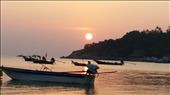 by katiestoner, Views[265]