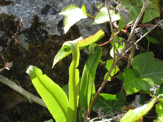 And watch as they unfold before your eyes.