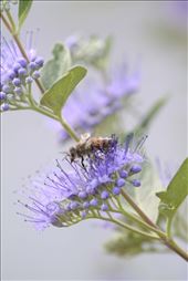 by katmelkjor, Views[198]