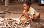 Visiting the village of Kompong Phhluk just outside of Siem Reap, Cambodia was like stepping back in time. Situated on the flood plains of the Tonle Sap lake, the world around these homes undergoes dramatic transformation from dry to wet season.  In the dry season, homes tower some 10 meters high on their tall wooden stilts, yet in the wet season, water laps at their doors. 

Fishing and the creation of fish paste, which is used so regularly in South East Asian cuisine, is the community’s main source of income. Everyone has a role to play in this process, and in this image a girl is chopping up the fish, separating the good and the bad before it is pounded together forming the infamous paste.
: by katpayne, Views[472]