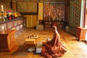 A Buddhist monk at Daeheungsa Temple in a room with hundreds of small Buddhas: by katria, Views[1042]