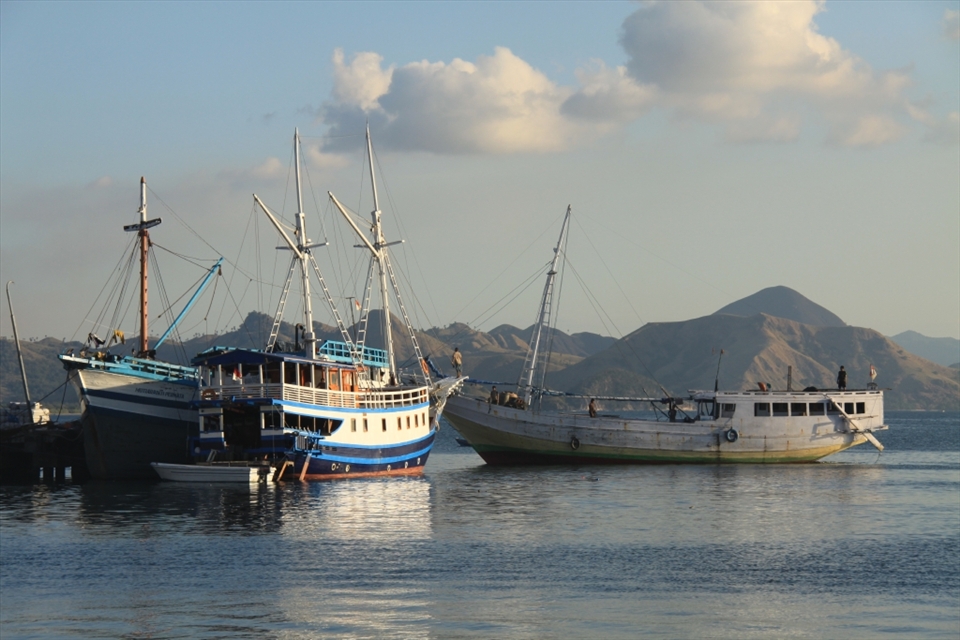 The journey ends in Labuan Bajo, a fishing village on flores Island, once a sleepy little town which is now becoming a destination for divers wishing to explore Komodo NP.