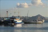 The journey ends in Labuan Bajo, a fishing village on flores Island, once a sleepy little town which is now becoming a destination for divers wishing to explore Komodo NP.: by katys, Views[433]