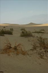 death valley: by katystubbs, Views[195]