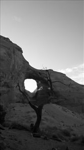 by katystubbs, Views[187]