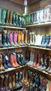 by katystubbs, Views[127]