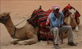 Camel driver deep in thought.: by kaylentanner, Views[225]