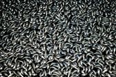 Millions of sardines captured for a morning catch.: by kayo, Views[701]