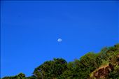 Fly by Luna, I saw something but i don't know if it's a fruit bats or birds?: by kcir, Views[286]