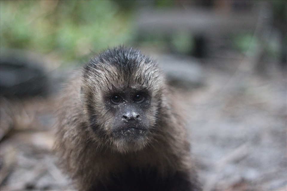  At first, new arrivals usually have a legitimate fear of humans. 