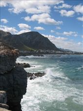 by kelleyfoyt, Views[212]