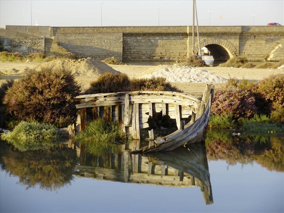 (4) Despite the city’s celebratory mood on fair day, Andalucía’s economic troubles are all too visible in a nearby canal, where a rowboat rots in the shallows. Andalucía has suffered more than any other Spanish province in the country’s recession, with unemployment reaching record highs.