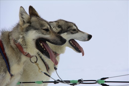 He ain’t heavy, he’s my brother