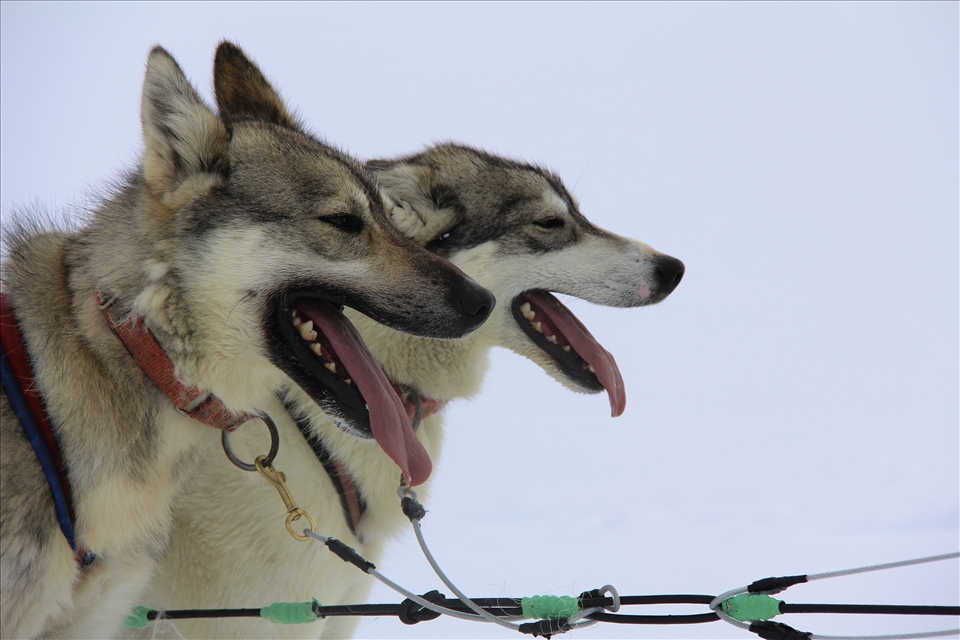 He ain’t heavy, he’s my brother