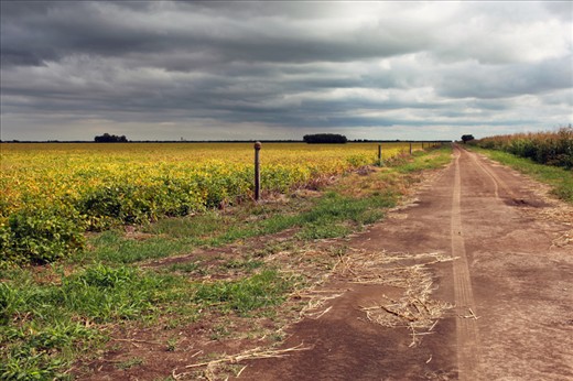 Ever expansive flatlands 