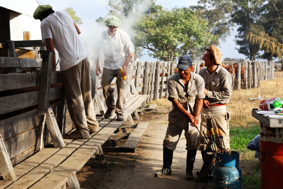 Farm workers work with the farm owners who visit from surrounding cities with the same passion for the land and the animals.