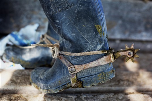 The way of the horse, cattle farming and Gaucho traditions are ingrained so deeply within them. Spurs help the farm worker inside the farm to control new or wild horses.