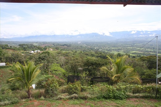 Daytime view from my room at La Gran Vista Finca
