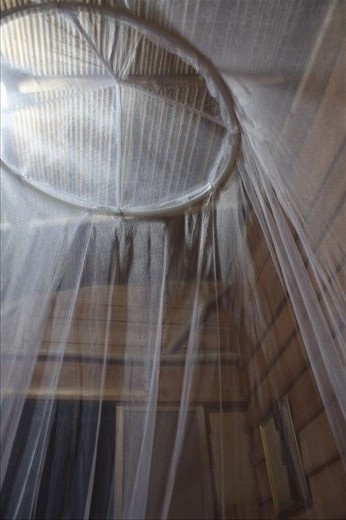Sleeping under the mosquito net
