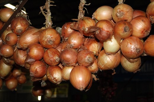 Cebolla (Onions)