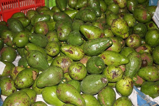 Agua cate (avacado)