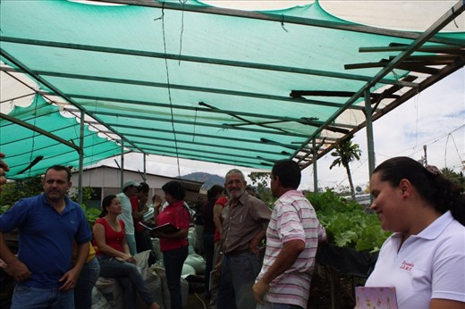 Prepping for new compost pile under greenhouse