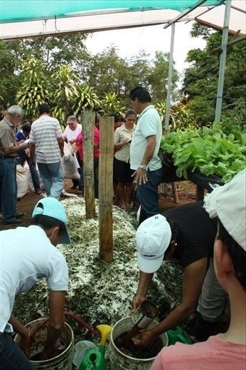Building tne compost pile