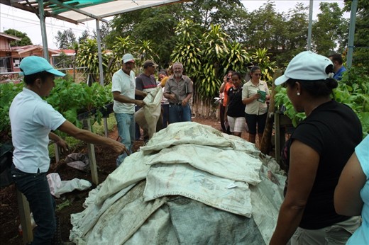 Covered compost pile